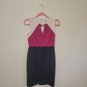 Enfocus Studio Fuchsia and Navy Mini Dress